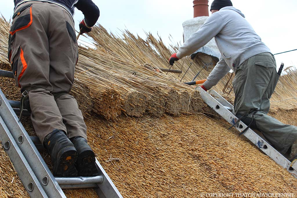 Thatch Advice Centre | Thatching Courses UK