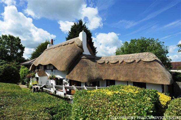 thatch-advice-centre-thatched-homes