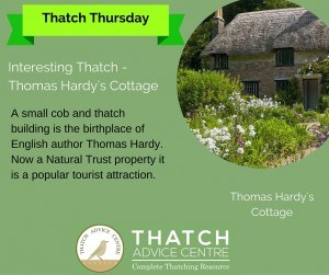 TT - Thomas Hardys Cottage