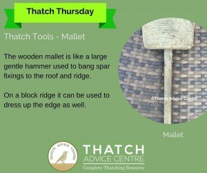thatch-advice-centre-mallet