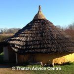 The Danebury Roundhouse | Thatch Advice Centre