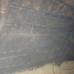Interior Roof of The Little Woodbury Roundhouse | Thatch Advice Centre