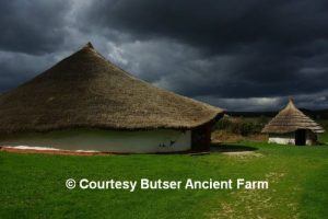 thatch-advice-centre-butser-ancient-museum