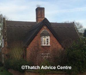 thatch-advice-centre-regional-thatch