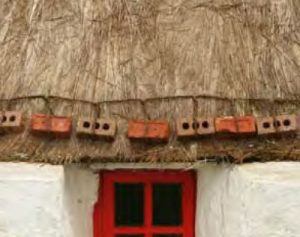 thatch-advice-centre-regional-thatching
