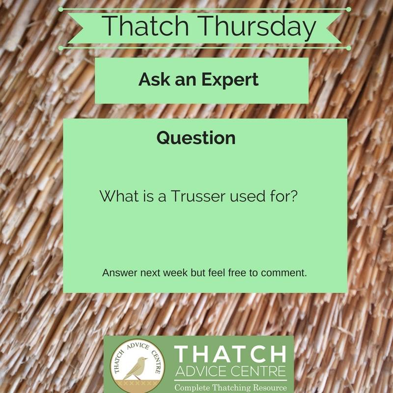 thatch-advice-centre-thatch-thursday
