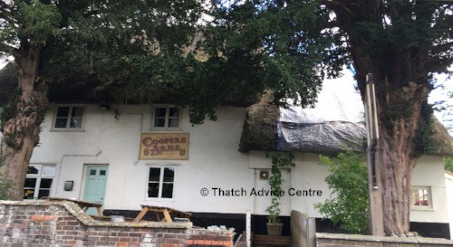 thatch-advice-centre-roof-decay