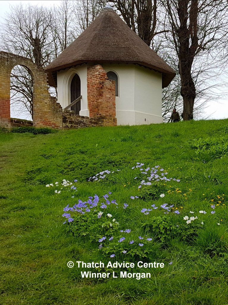 Thatch Advice Centre - Competition winner - L Morgan