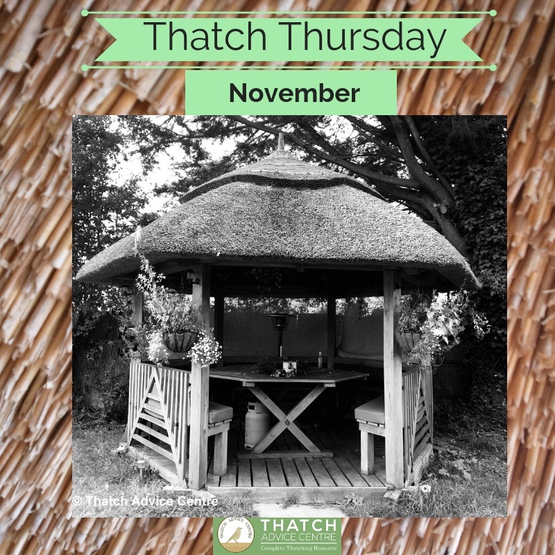 Thatch Thursday November 2018