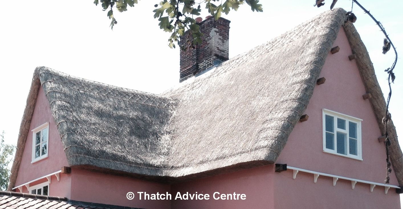 Spars and liggers on thatched roof