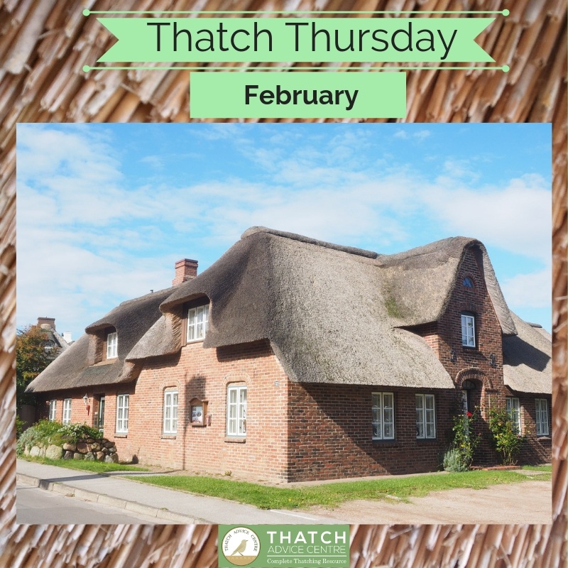 Thatch Thursday February 2019 