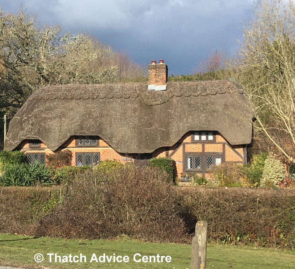 new-thatch-house - Thatch Advice Centre