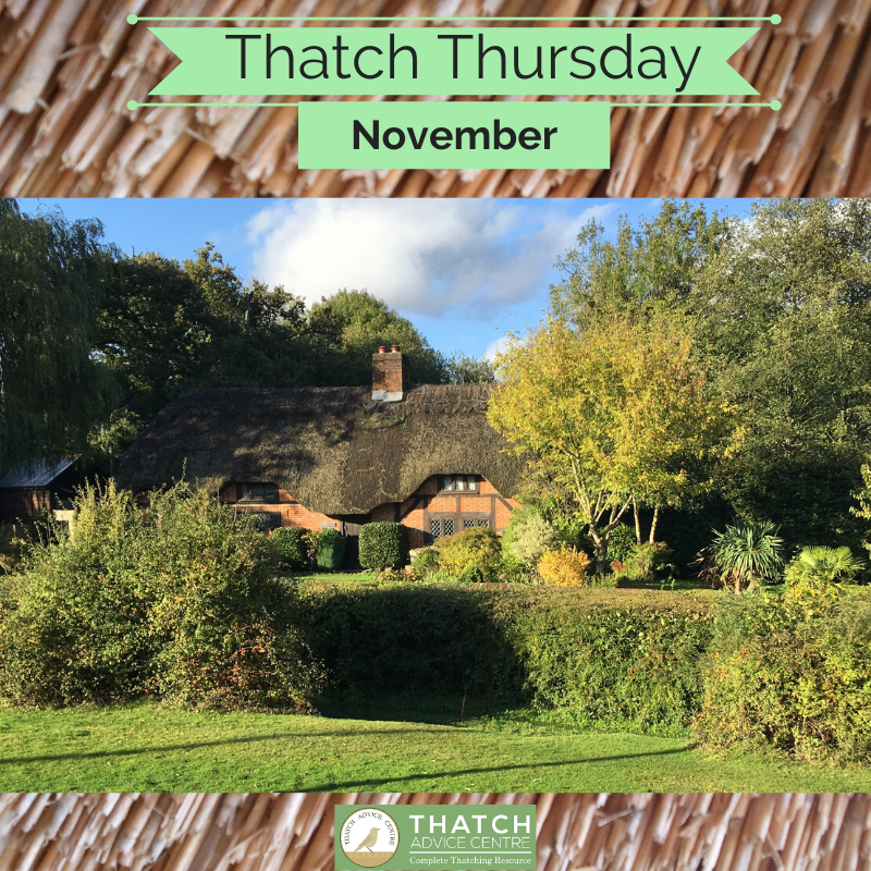 Thatch Thursday November 2019