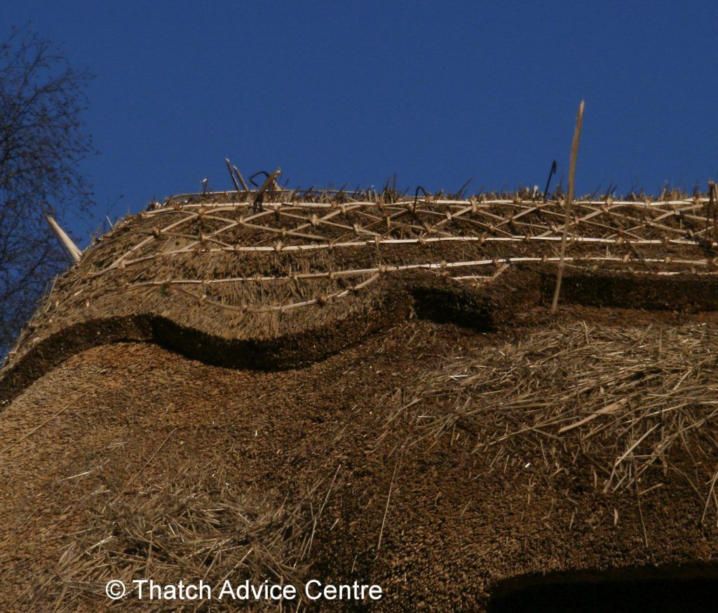 Listed Heritage Magazine Issue 129 Thatch Advice Centre thatching pic for front page