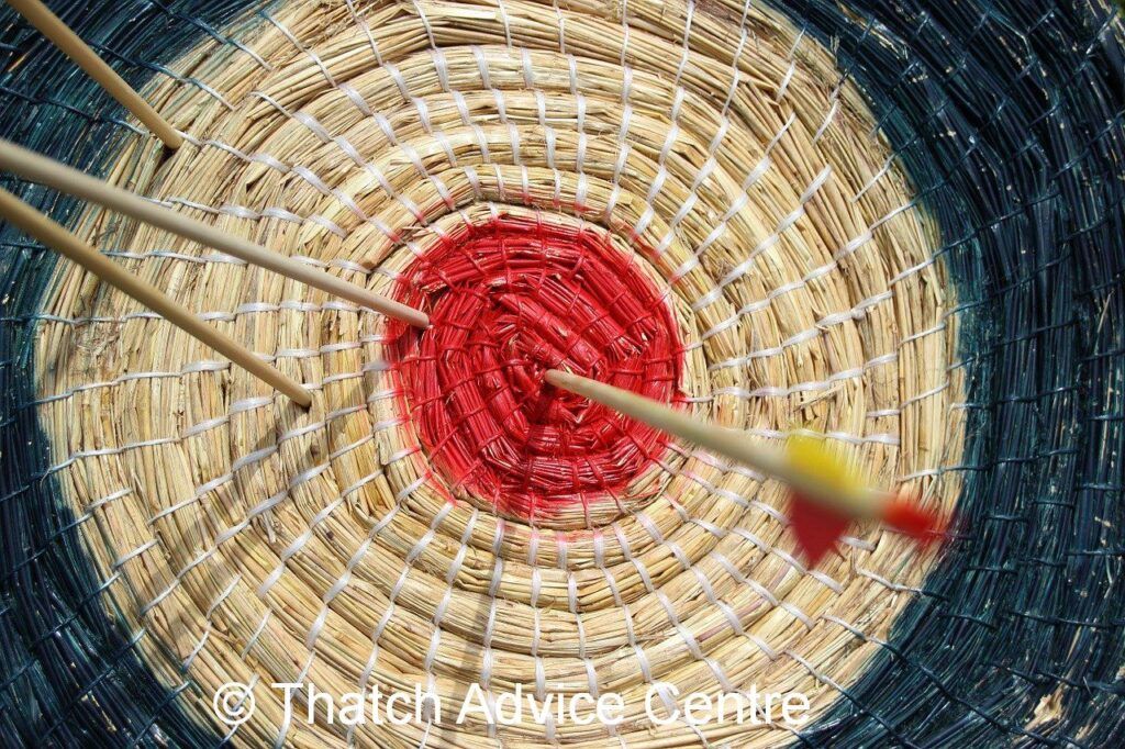 Target - alternative uses of thatching materials