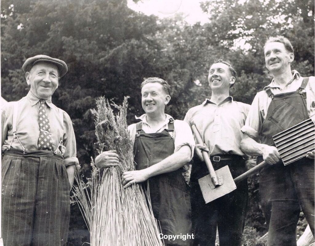 Breckland Society journal Reeve thatching family