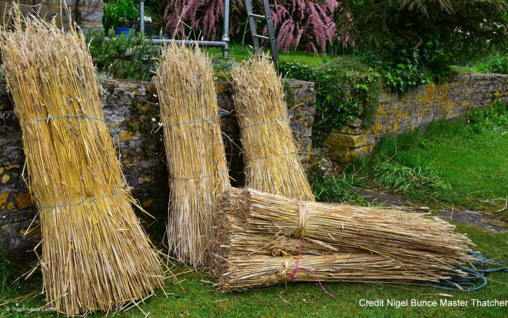 Combed Wheat Reed for West Country Thatching 