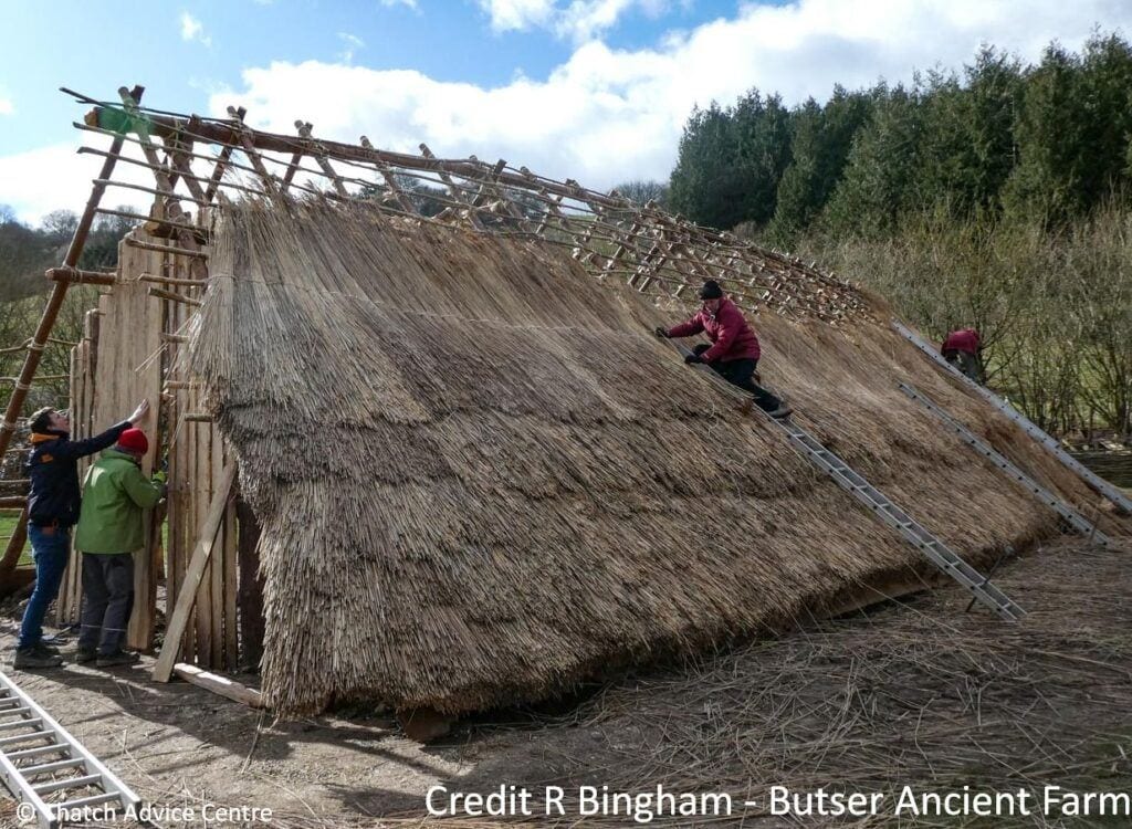 Butser Ancient Farm - Horton House Build 