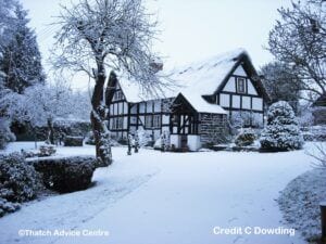 Thatch and Gardens Gallery - Credit C Dowding 2