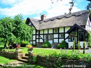 Thatch and Gardens Gallery - Credit C Dowding 4