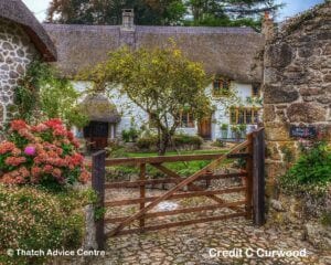 Thatch and Gardens Gallery - Credit C Curwood
