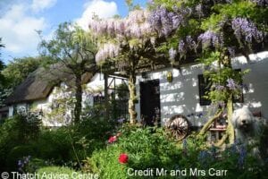 Thatch and Gardens Gallery - Credit Mr and MRs Carr