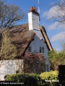 Thatch Advice Centre - Thatch and Gardens - M Wood 2