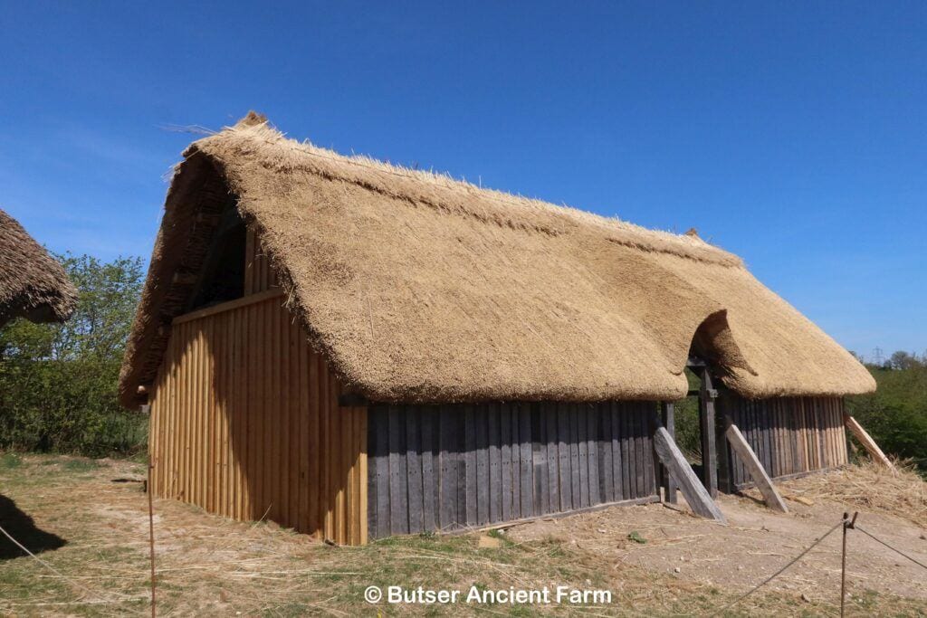 Butser Ancient Farm - new thatched roof - Saxon House