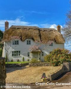 Thatch and Gardens - Coling Curwood 3