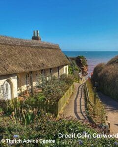 Thatch and Gardens pic comp C Curwood 4