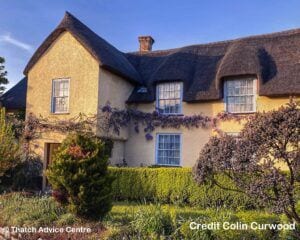 Thatch and Gardens - Colin Curwood 5