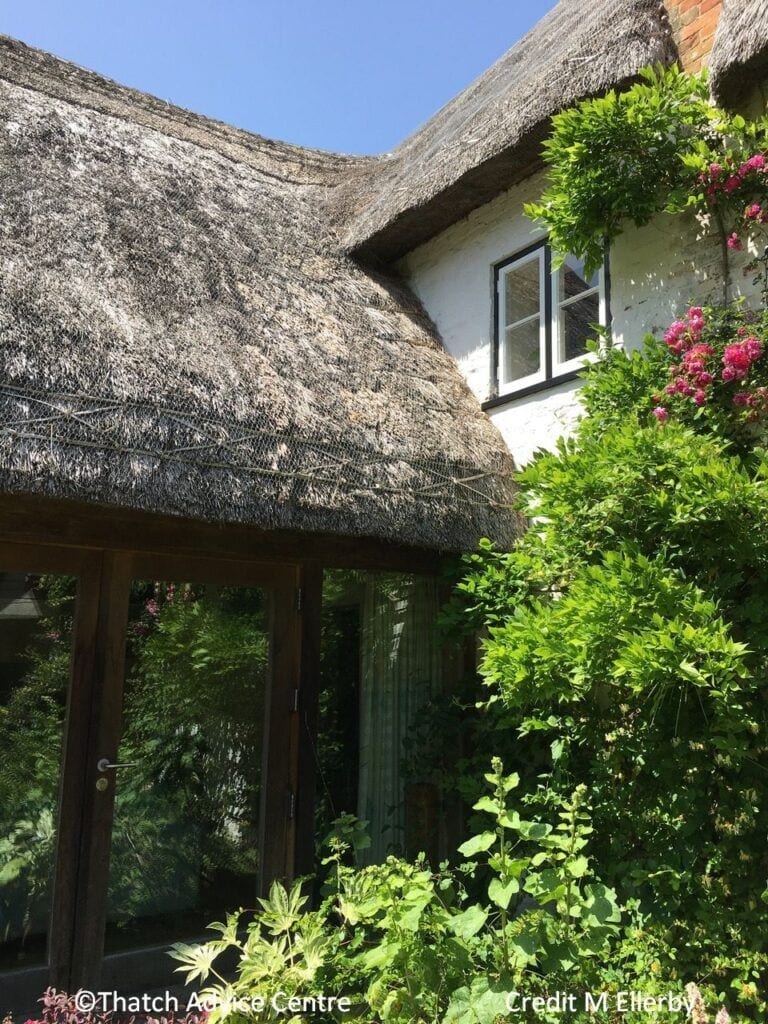 Architecture - thatched sunroom extension, join