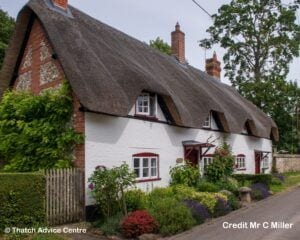 Thatch and Gardens Picture Competition - Charles Miller - 2