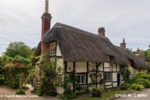 Thatch and Gardens Picture Competition - Charles Miller - 3