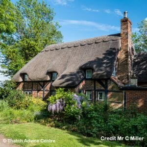 Thatch and Gardens Picture Competition - Charles Miller - Wisteria