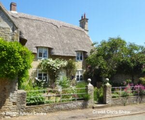 Thatch and Gardens picture competition - Chris Shaw 1