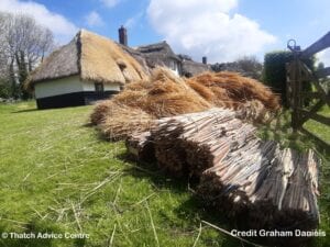 Thatch Advice Centre Thatch and Gardens pic Competion - G Daniels