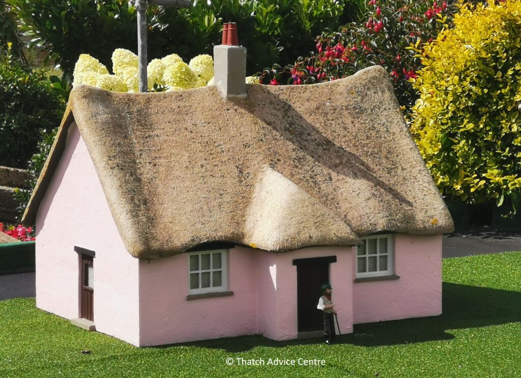 Thatch Advice Centre - Chocolate Box Cottage - model 