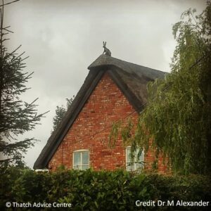Thatch Advice Centre - Finial Fun from Dr M Alexander - Hare