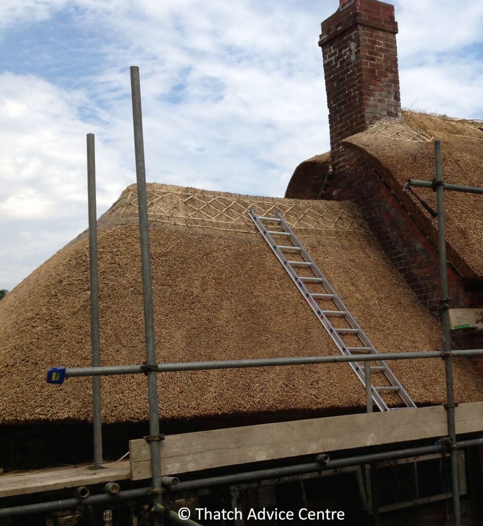 Thatching Quotations - Scaffolding