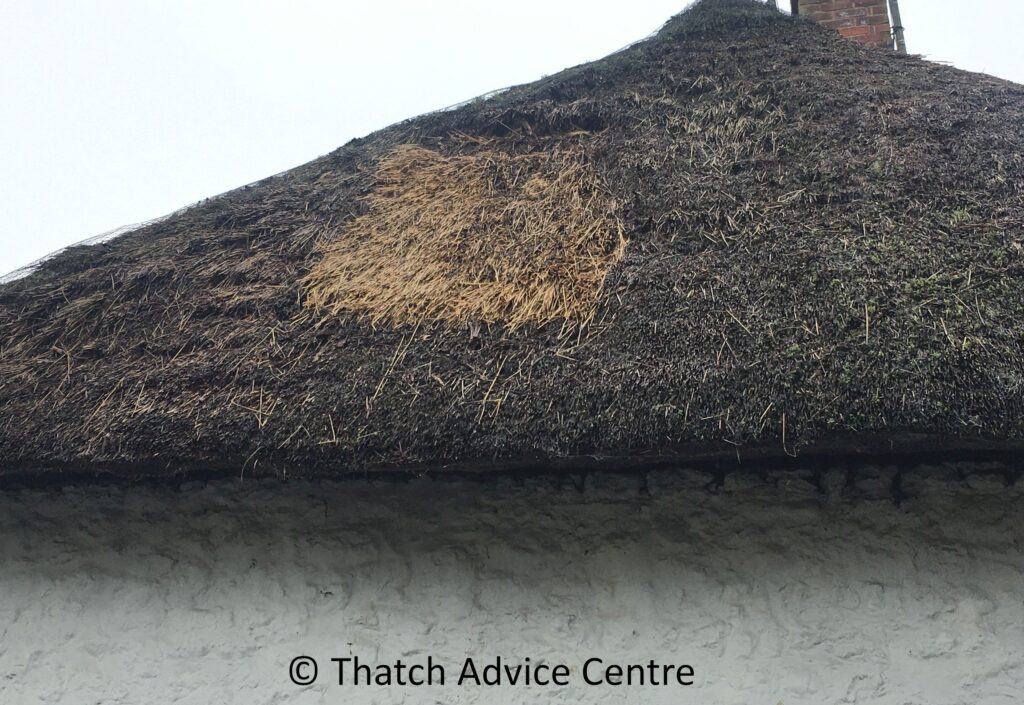 Thatch Patching work