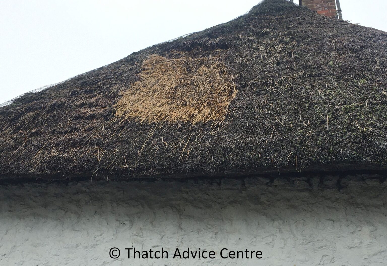 Helpful Points on Thatching Quotations - Thatch Advice Centre