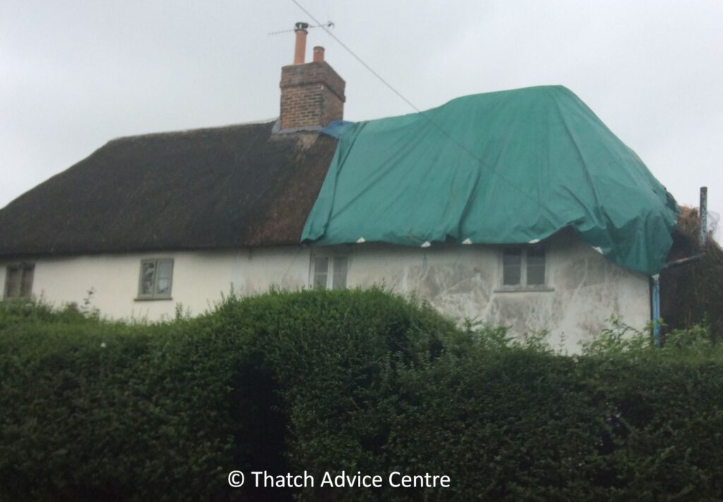Helpful points on thatching quotations