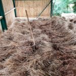 Collecting and Storing Thatching Straw - Stacking