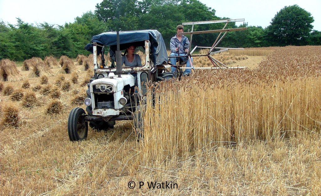 Producing Straw for Thatching - a farmers view binding