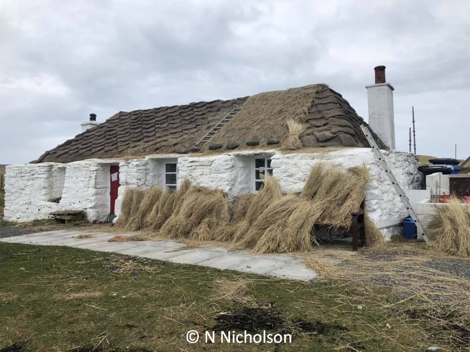 Marram Grass thatch ready for rethatching
