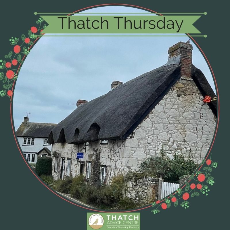 Thatch Thursday 30th December