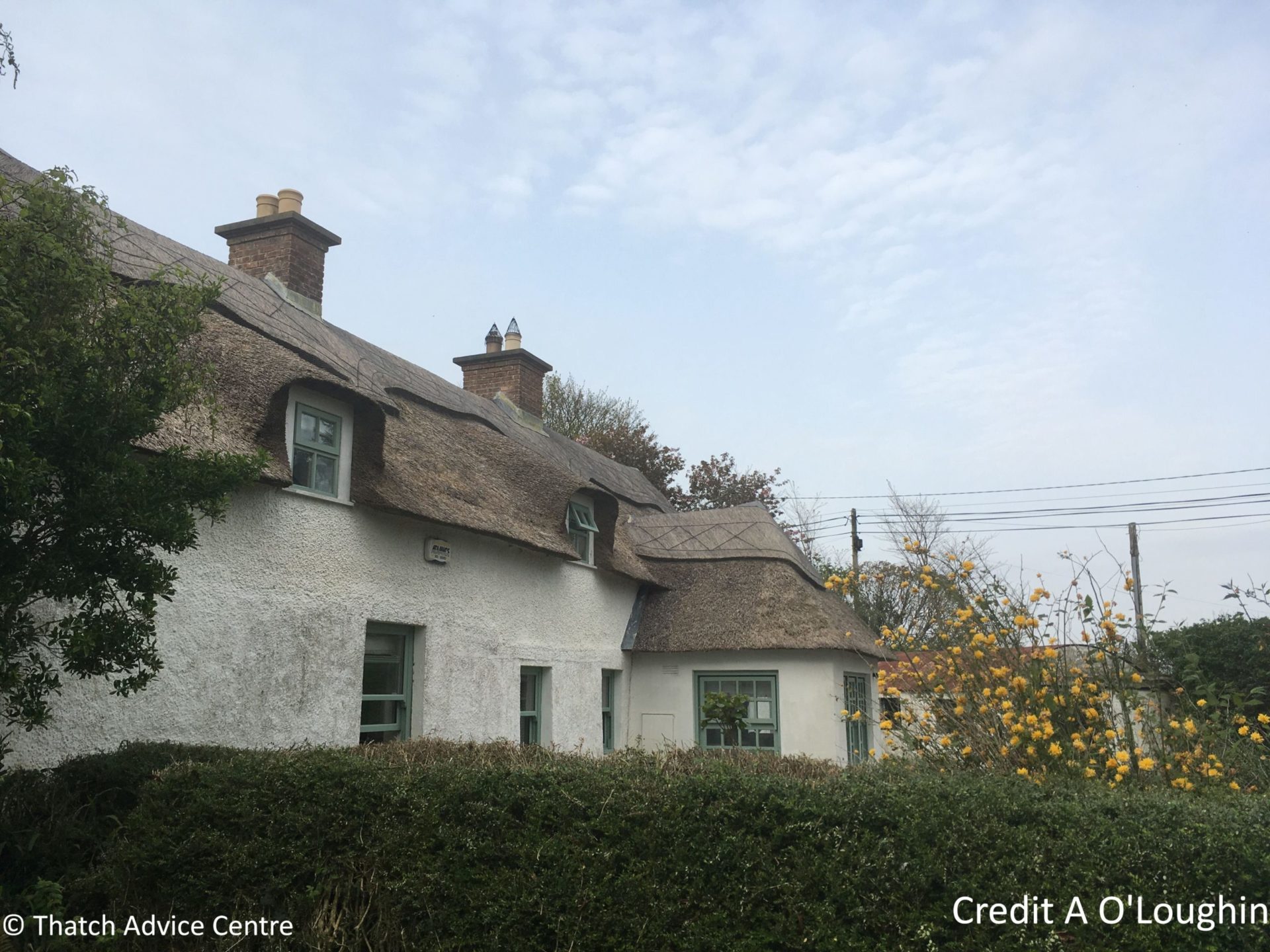 Thatch Advice Centre article on insuring thatch in the ROI 4