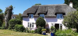 Chocolate Box Thatched cottage - C Tanner 3