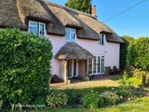 Chocolate Box Thatched cottage - C Tanner 2